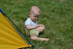 DSC_2370-800x532