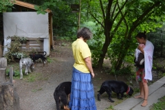 DSC_2475-800x532